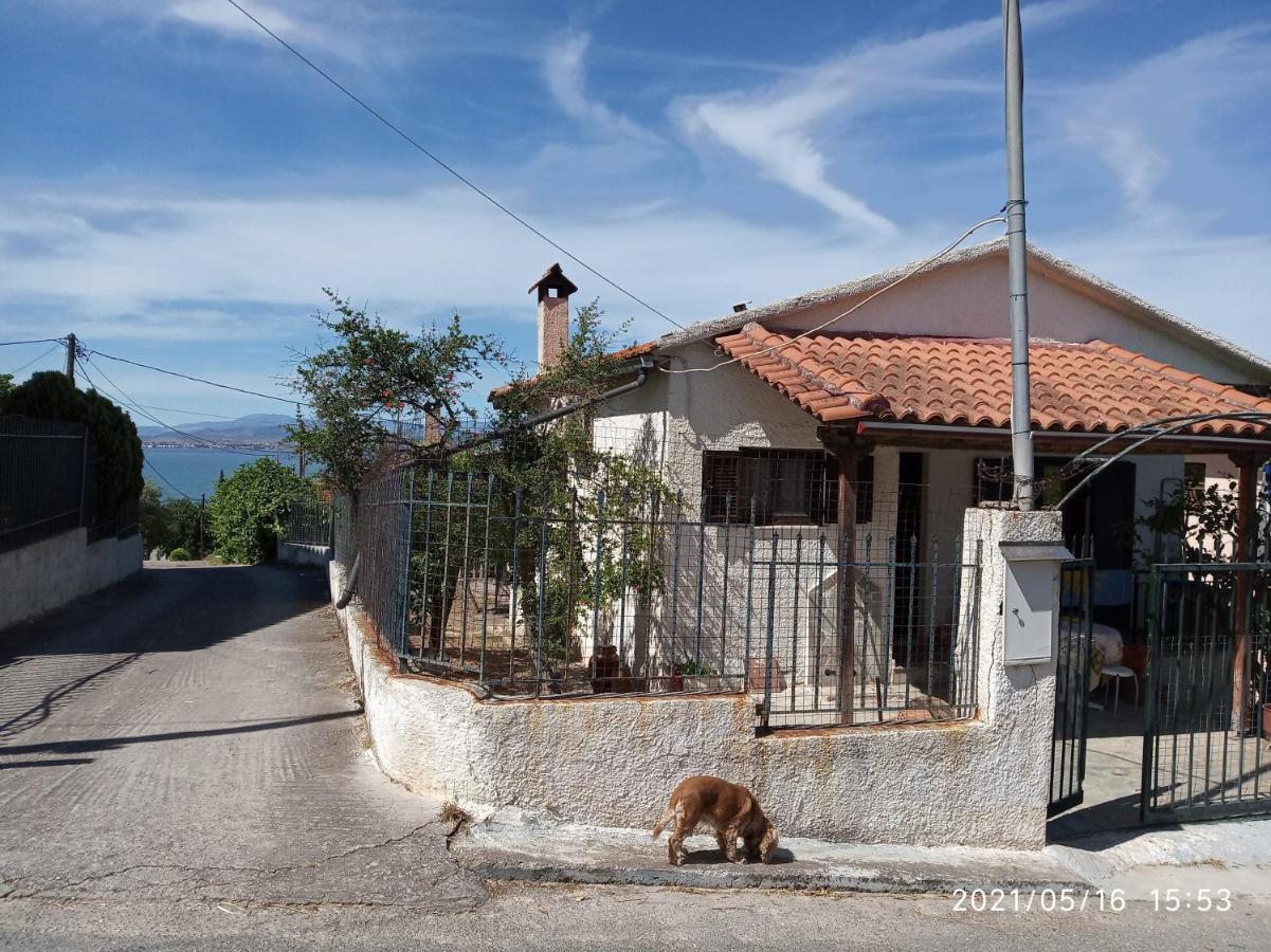 Sea View Dilesi Villa Dhilesi Exterior photo